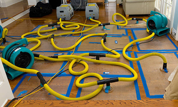 Professional Structural Drying And Dehumidification technician working in Lake City, AR